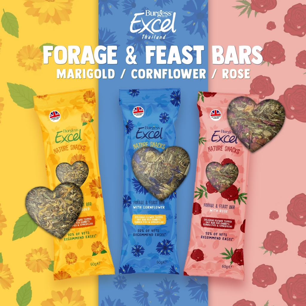 ขนมกระต่ายและสัตว์ฟันแทะพรีเมี่ยม 🇬🇧 Burgess Excel Forage & Feast Bars 60g | วัตถุดิบธรรมชาติ