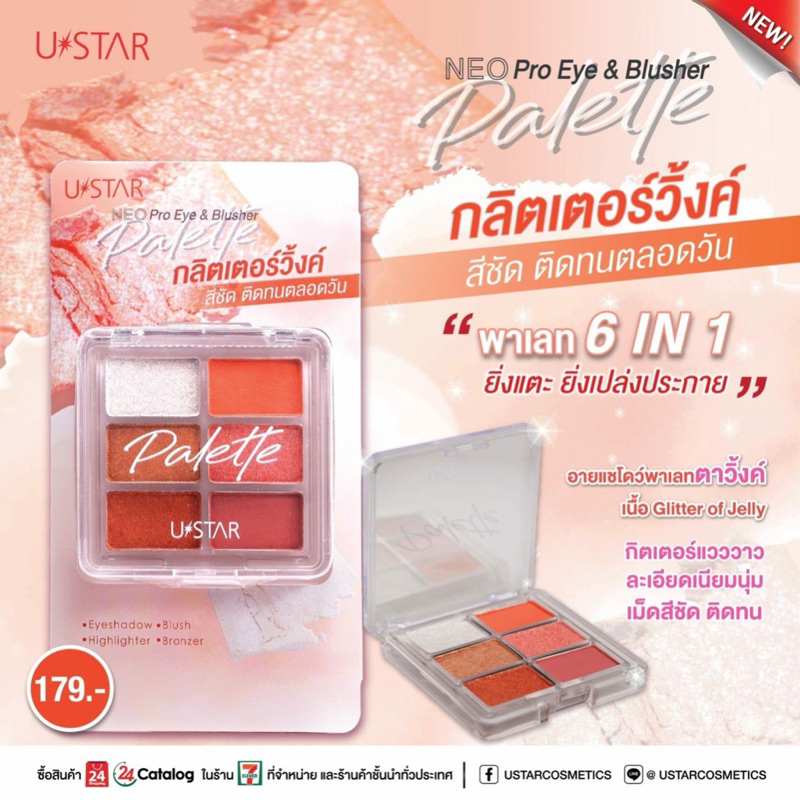 Ustar NEO Pro Eye & Blusher ทาตาดินน้ำมัน6ช่อง
