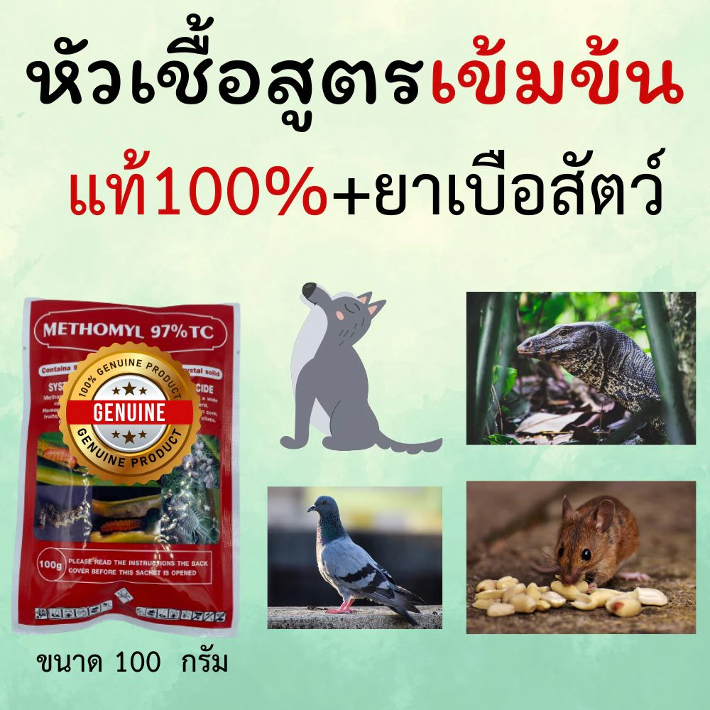 หัวเชื้อใช้ทำเหยื่อ กำจัดสัตว์ สูตรแรง เมโทรนิล 97% ไม่มีสี ไม่มีกลิ่น (100g.) ตะกวด แรทเนท methomyl แลนเนทแท้ นกพิราบ