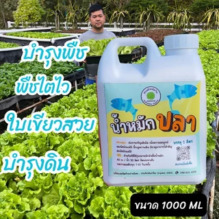 น้ำหมักบำรุงพืชผักสลัด
