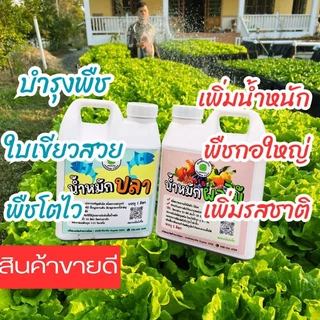น้ำหมักบำรุงพืชผักสลัด