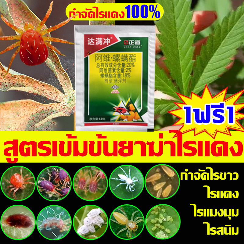 กําจัดไรแดง100% ยากําจัดไรแดง ยาฆ่าไรแดง กำจัดไรศัตรูพืช แอฟริกัน ไรขาว พริก ไรแดง t10 ยาไรแดง