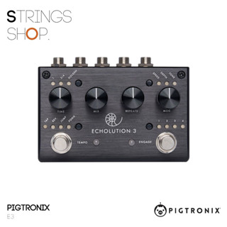 เอฟเฟคกีตาร์ Pigtronix Echolution 3