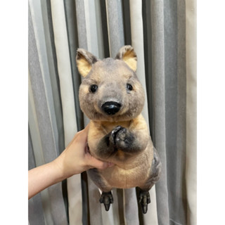 ⭐️ NEW ⭐️ Quokka Australia Animal ตุ๊กตา สัตว์เหมือนจริง ควอกก้า งานลิขสิทธิ์ แท้ งานหายาก ญี่ปุ่น