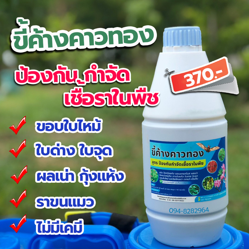 ขี้ค้างคาวทอง ฝาฟ้าสูตรป้องกันกำจัดเชื้อราในพืช ไม่มีเคมี100%