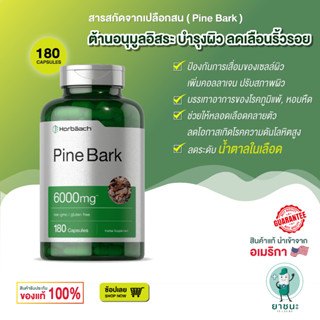 [ของแท้ 100% + พร้อมส่ง] 💖 Horbaach Pine Bark Extract 6000 mg | 180แคปซูล สารสกัดเปลือกสน