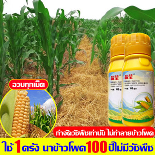 🌽ใช้1ครั้ง นาข้าวโพด100 ปีไม่มีวัชพืช🌽ยาฆ่าหญ้าในข้าวโพด 100ML ฆ่าหญ้าในข้าวโพด ฆ่าแค่วัชพืชไม่ทำลายข้าวโพด 100%ได้ผล