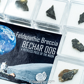 [สไลซ์+เลือกชิ้นได้] อุกกาบาตดวงจันทร์ Bechar 006 Lunar Feldsp. Breccia Meteorite from Moon พร้อมใบรับประกันแบบ Lifetime