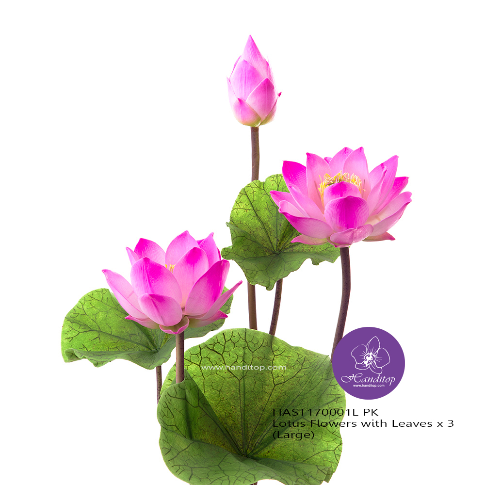 Handitop​ ดอกบัวปลอมจัดแจกัน ขนาดดอกกว้าง 3" 8" 10" สวยเหมือนดอกบัวหลวงจริง​ จำหน่ายเป็นชุด