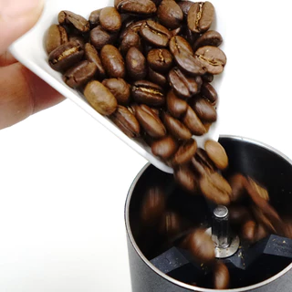 LILYDRIP PP Coffee Dosing Tray ถาดใส่กาแฟ เมล็ดกาแฟ