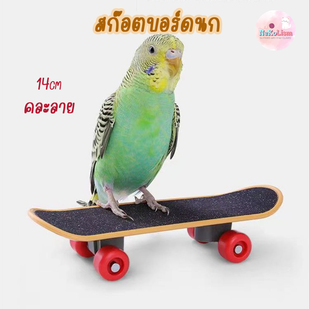 สเก็ตบอร์ดนก ของเล่นนก สเก็ตบอร์ดจิ๋ว mini ฟอพัส หงษ์หยก แก้ว Bird