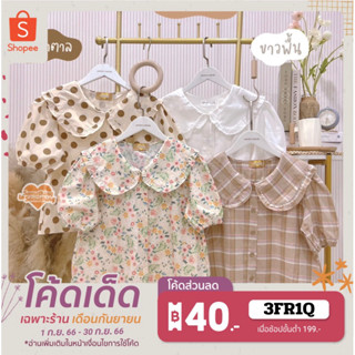 เสื้อคอบัวแขนสั้นสไตล์มินิมอล67