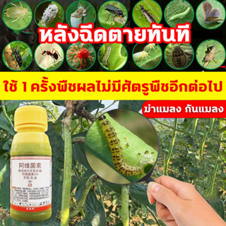 🐞ใช้ 1 ครั้งพืชผลไม่มีศัตรูพืชอีกต่อไป💯ของแท้ อะบาเมกติน 5% ฉีดผ่าดอกได้ ป้องกันกำจัดแมลง ยาฆ่าแมลง หนอน 100ml
