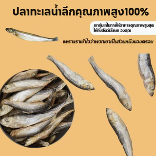ขนมแมว ปลาแมว ปลาอบแห้งแมว ไม่เติมเกลือ ขนมกินไม่อ้วน ปลอดภัยต่อไต โปรตีนสูงตัว สดใหม่ ขนม สุขภาพ 50 กรัม ขนมแมวฟรีซดรา