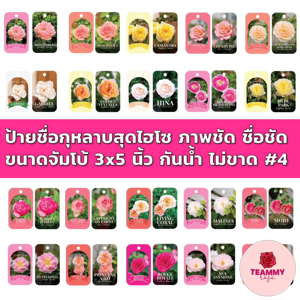ป้ายชื่อกุหลาบสุดไฮโซ#4 ภาพชัด ชื่อชัด ขนาดจัมโบ้ 3x5 นิ้ว กันน้ำ กันแดด ไม่ขาด ผลิตจากแผ่น PP Sheet