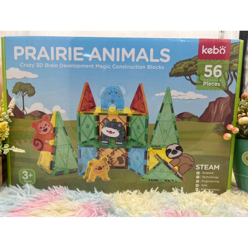 🌈ของเล่น ของเล่นเด็ก ตัวต่อแม่เหล็ก Megnatic block ตัวต่อแม่เหล็ก Megnet ของเล่นเสริมพัฒนาการ