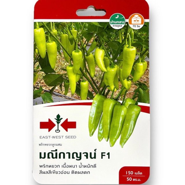 ศรแดง พริกหยวก มณีกาญจน์ (150 เมล็ด)