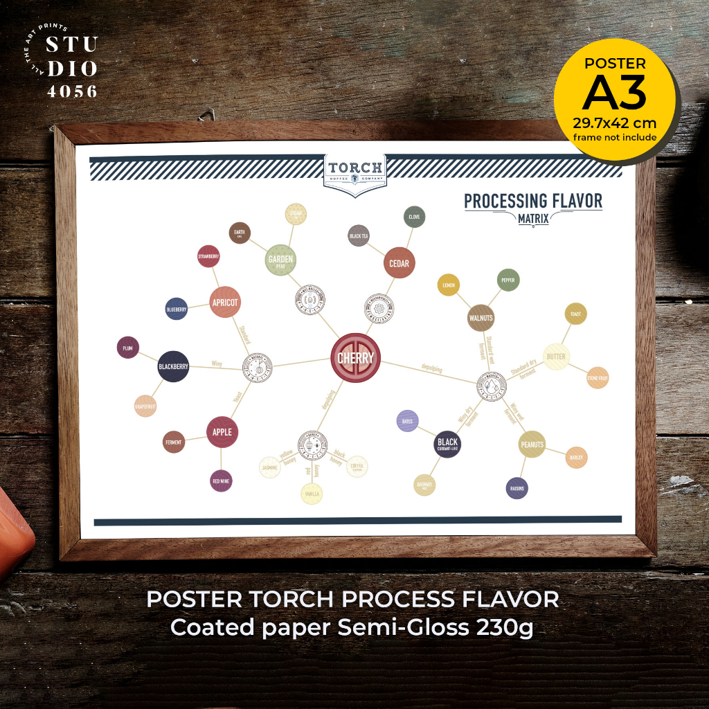 THE PROCESSING FLAVOR MATRIX Poster size A3 Unframed!