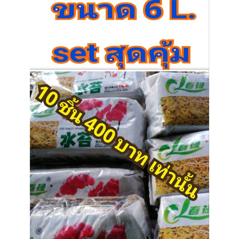 สแฟกนั่ม10ชิ้น400บ.ขนาด6L. sphagnum moss วัสดุปลูกคุณภาพ