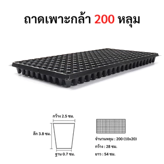 ถาดเพาะกล้า ถาดหลุม ถาดเพาะชำ ยกกล่อง 100 ใบ หนา 0.8 มิล ขนาด 21, 32, 50, 72, 105, 162, 200 หลุม