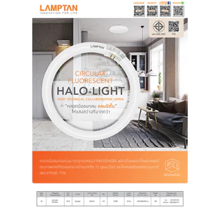 Lamptan หลอดนีออนกลม 32W Circular Fluorescent Lamp แสงเดย์ไลท์ 6500K ขั้วหลอดมาตรฐาน G10q HALO