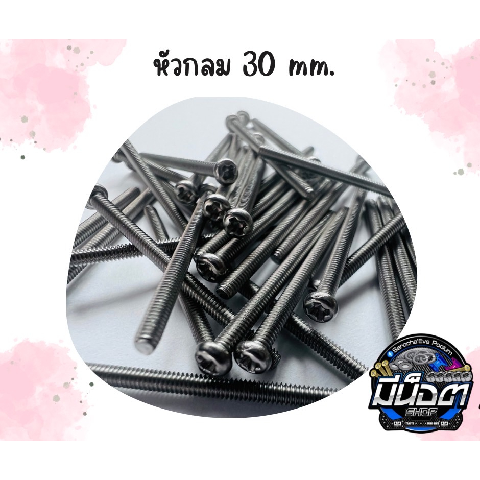Tamiya Mini 4WD น๊อตหัวกลม M2 x 30 mm.
