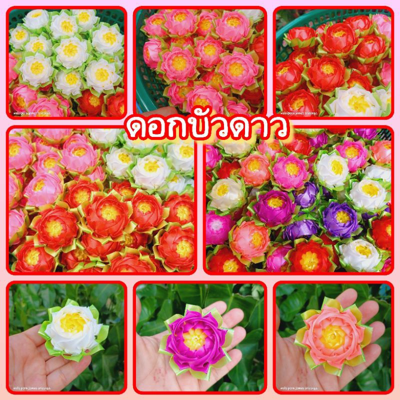 ดอกบัวดาว ตัวเปล่า เซต 10 ดอก สำหรับเหรียญโปรยทานและเสียบไม้กฐินได้