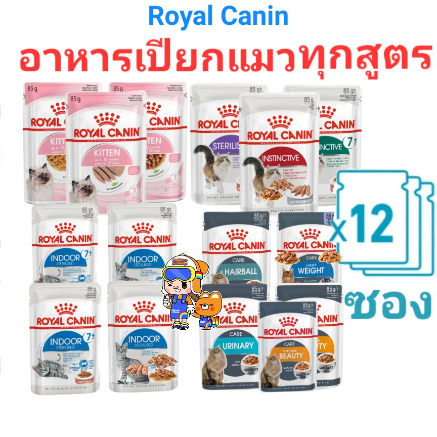 Royal Canin Cat Wet Pouch 85g x 12 Packs โรยัลคานิน อาหารเปียกแมว 85 กรัม ครบทุกสูตร 12 ซอง