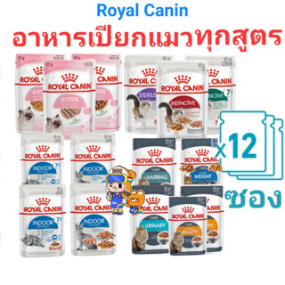 Royal Canin Cat Wet Pouch 85g x 12 Packs โรยัลคานิน อาหารเปี…