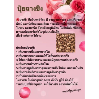 🌱ฉางชิง ธาตุรอง ธาตุเสริม ปุ๋ยใส่กุหลาบ บำรุงกุหลาบ บำรุงราก เร่งกระโดง แตกกิ่ง เพิ่มอากาศในดิน