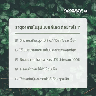 100G/500G สังกะสีคีเลต Zn-EDTA จุลธาตุสังกะสี 15%Zn ช่วยให้พืชทนทานต่อสภาพอากาศ / Zinc micronutrient 15%Zn - Chemrich