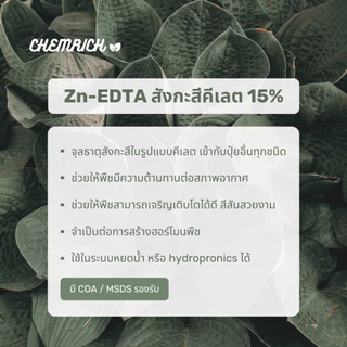100G/500G สังกะสีคีเลต Zn-EDTA จุลธาตุสังกะสี 15%Zn ช่วยให้พืชทนทานต่อสภาพอากาศ / Zinc micronutrient 15%Zn - Chemrich