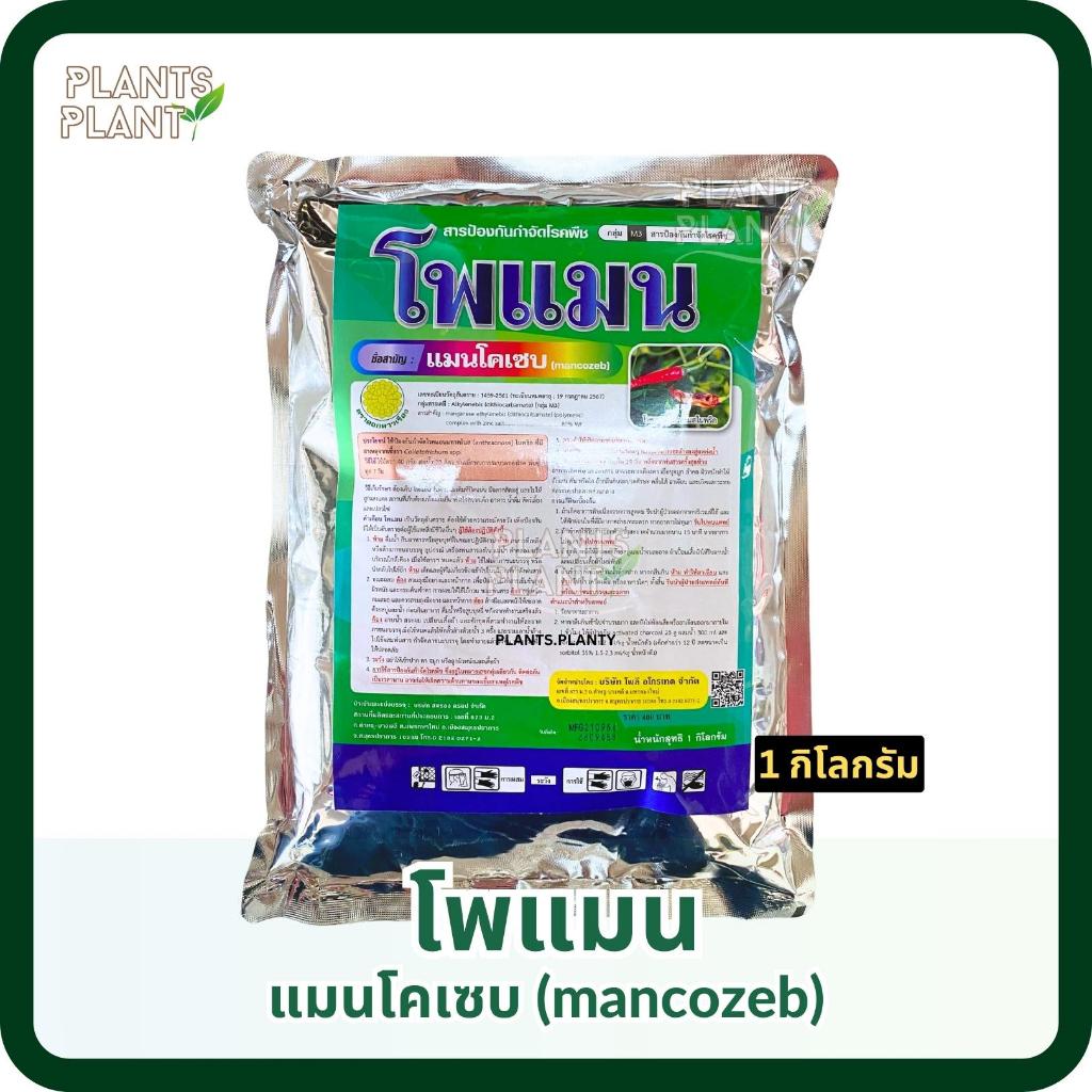 แมนโคเซบ (mancozeb) 1KG : โพแมน ป้องกันและกําจัดโรคพืช โรคกาบใบแห้ง, โรคกาบใบเน่า, โรคใบจุดสีน้ำตาล, โรคใบมีด, รากเน่า