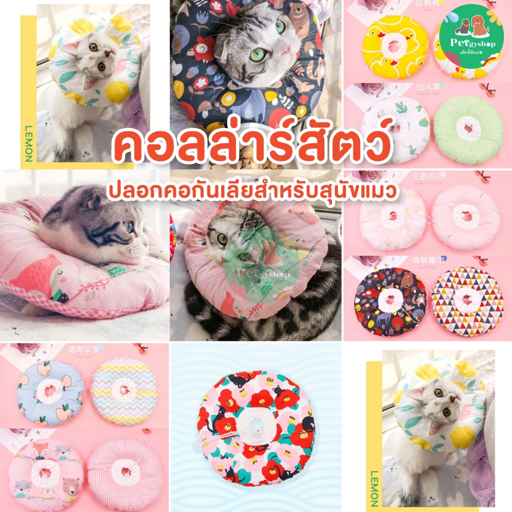 คอลล่าร์สัตว์ ปลอกคอกันเลียแมว🐱Size Xs,S น้ำหนักไม่เกิน 2.5 กิโล