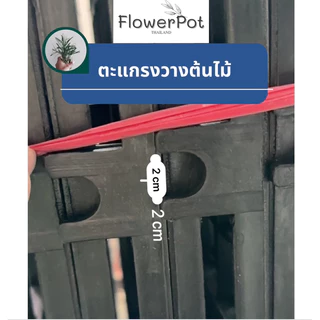 (1 อัน) ตะแกรงพลาสติก วางต้นไม้ แบบหนา