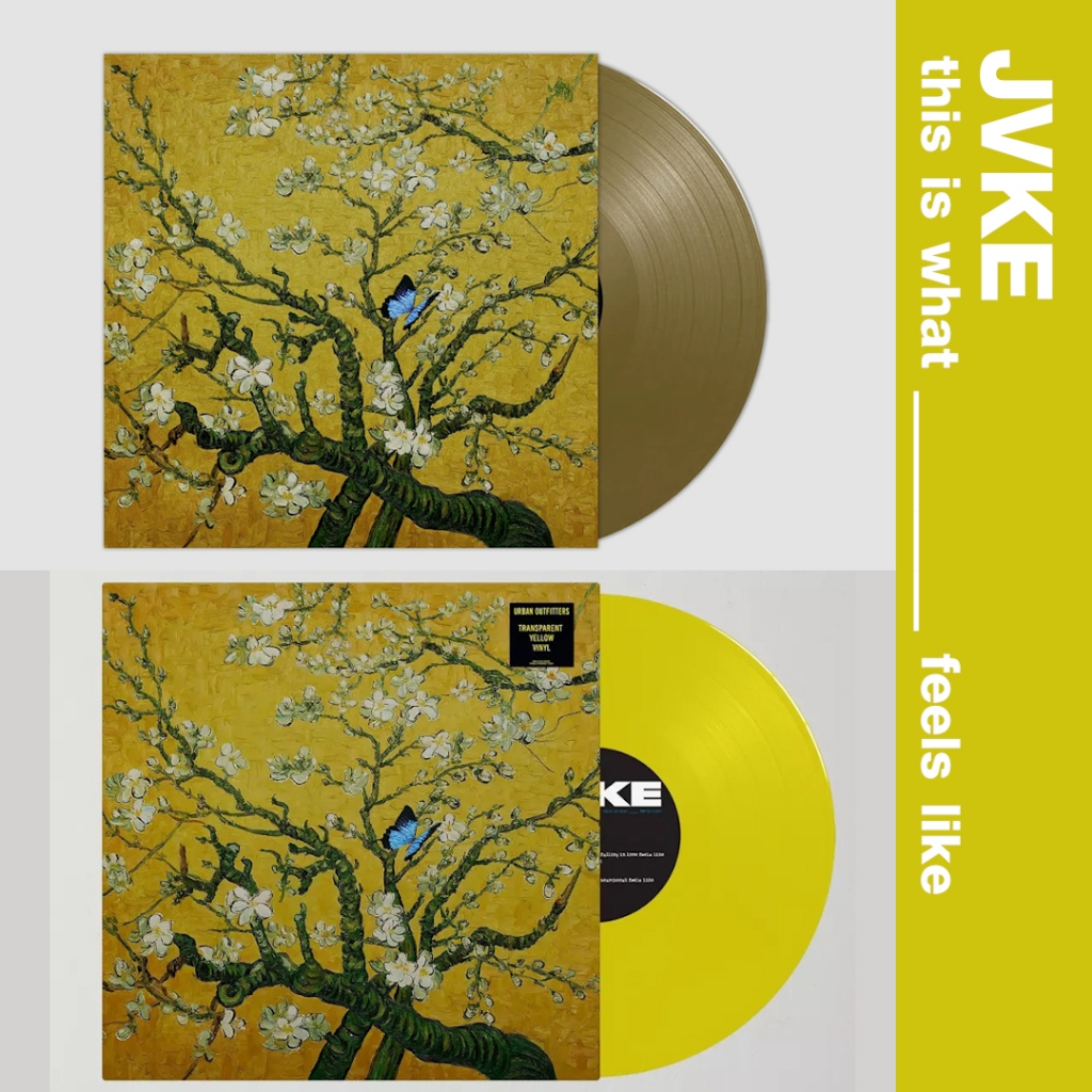 ✈️ Pre-Order แผ่นเสียง : JVKE - this is what ____ feels like