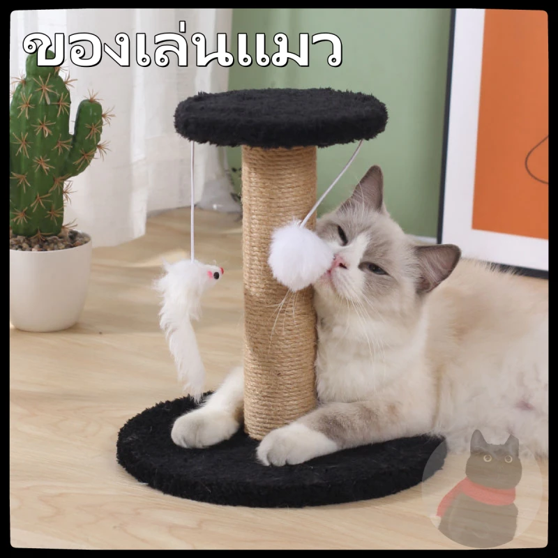 ฝนเล็บแมว คอนโดแมวราคาถูก คอนโดแมว ที่ลับเล็บแมว ที่ฝนเล็บแมว ลับเล็บแมว คอนโดแมวเล็ก ของเล่นแมว