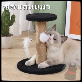 ฝนเล็บแมว คอนโดแมวราคาถูก คอนโดแมว ที่ลับเล็บแมว ที่ฝนเล็บแมว ลับเล็บแมว คอนโดแมวเล็ก ของเล่นแมว