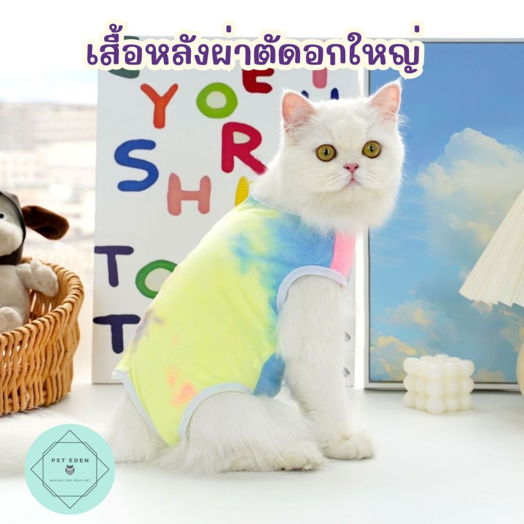 เสื้อหลังผ่าตัด หมา แมว สำหรับสัตว์อกใหญ่ XXS-XL แมวอ้วน หมาอ้วน ชุดกันเลีย ป้องกันแผล Pet Recovery Suit