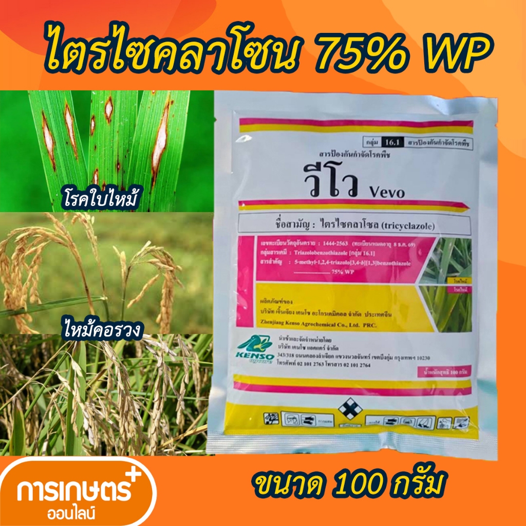 วีโว ไตรไซคลาโซล 75ดับบลิวพี 100กรัม (ไตรไซคลาโซล) ป้องกันโรคไหม้ในนาข้าว ไหม้คอรวง