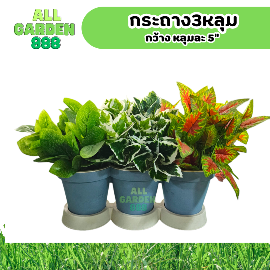 กระถาง 3หลุม กระถางยาว รางยาว กระถางต้นไม้ ยาว 15นิ้ว กว้าง 5นิ้ว