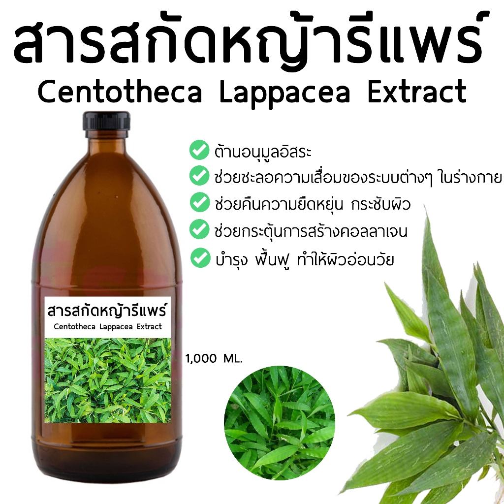 สารสกัดหญ้ารีแพร์ 1,000 ML. Centotheca Lappacea Extract