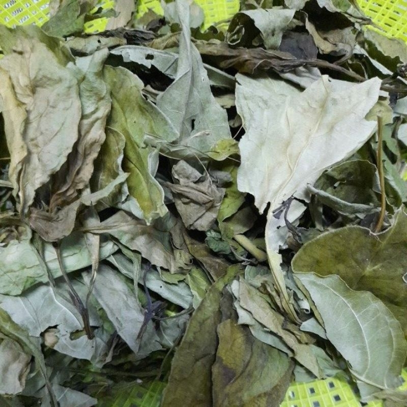 อังกาบหนู อังกาบหนูแห้ง noเคมี(สินค้าจริง)เกรดA