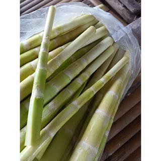 หน่อไม้ต้มแหนงอ่อนๆสั้นๆ บรรจุถุงสุญญากาศ 500 กรัม