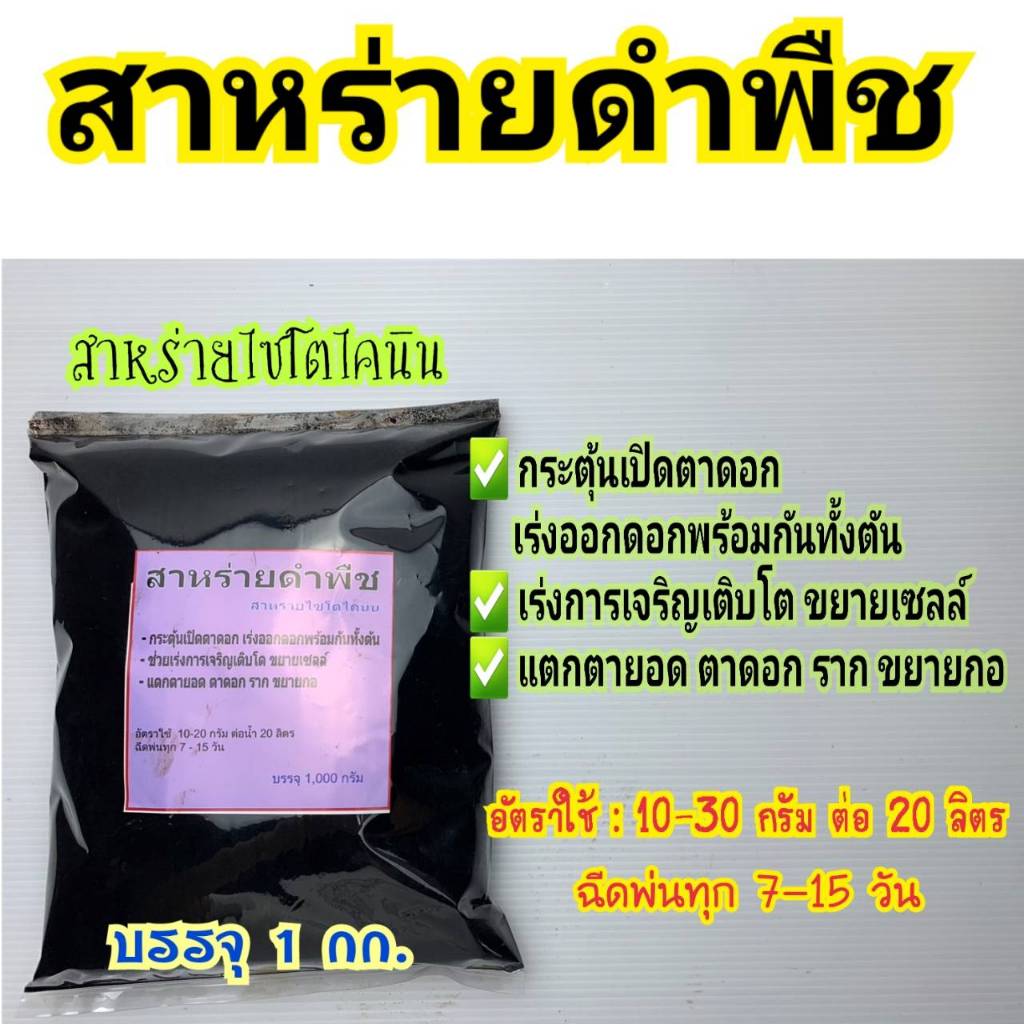 สาหร่ายดำพืช สาหร่ายทะเลพืช ไซโตไคนิน อาหารเสริมพืช ธาตุหาหารพืช ปุ๋ย เปิดตาดอก เร่งออกดอกพร้อมกันทั้งต้น เร่งการเจริญเต