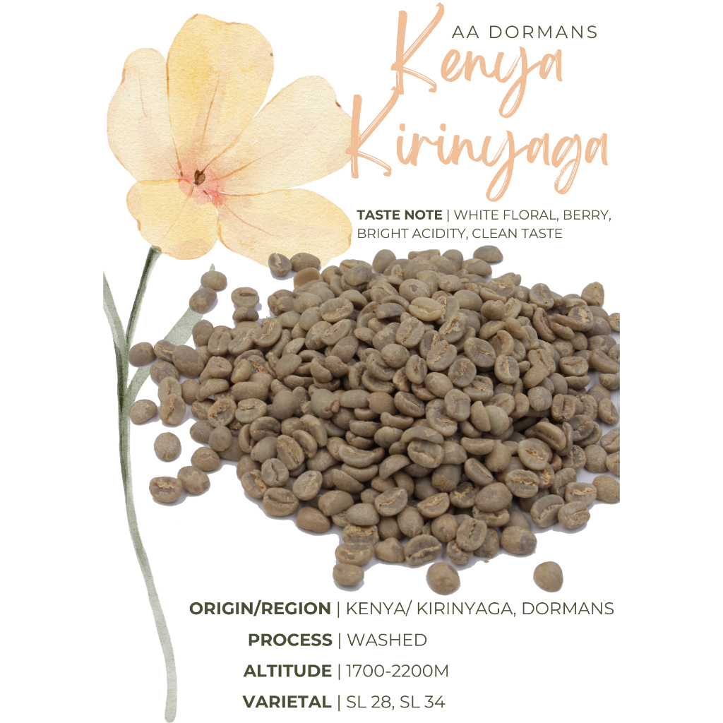 พร้อมส่ง เมล็ดกาแฟดิบ Kenya Kirinyaga AA washed process/ เมล็ดกาแฟนอก/เมล็ดกาแฟสาร เคนย่า