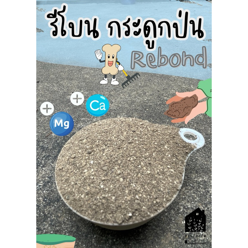 รีโบน (Rebone) สารแทนกระดูกป่น กระดูกป่น ปุ๋ยกระดูก แคลเซียม แมกนีเซียม