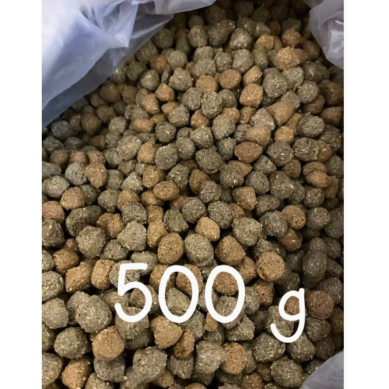อาหารเต่าบก กันจูโปร (เม็ดใหญ่) สูตรใหม่ 500 กรัม สินค้าลอตใหม่ exp 14/12/2027
