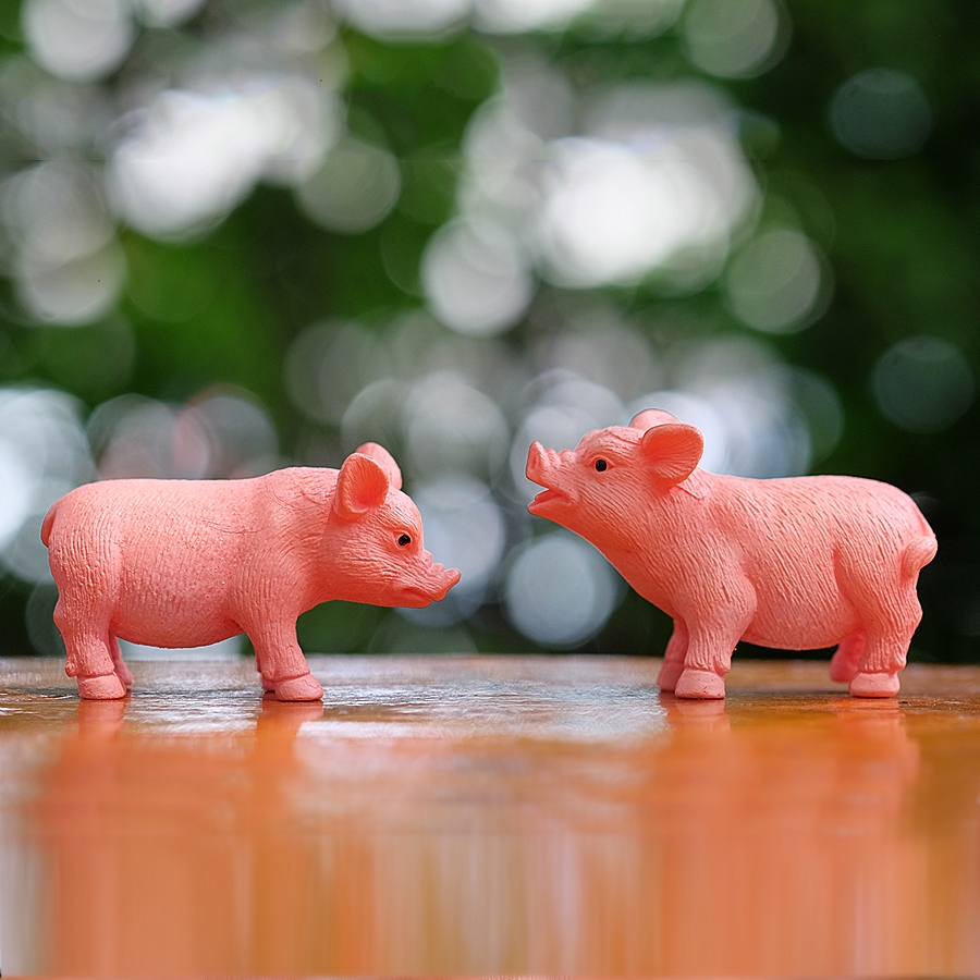 พร้อมส่งในไทย(#I) - ตุ๊กตาแต่งสวน โมเดลน้องหมูแต่งสวน ขนาด 2.5cm