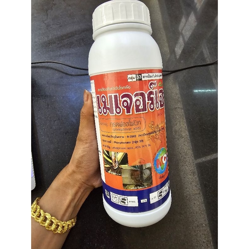เมเจอร์เอ(กรดฟอสโฟนิก)แก้โรคเน่ายอดเน่าโคนเน่า